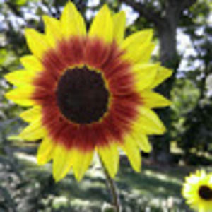 Meet your Posher, Eli